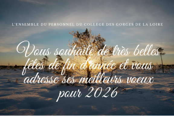 Voeux 2026.png